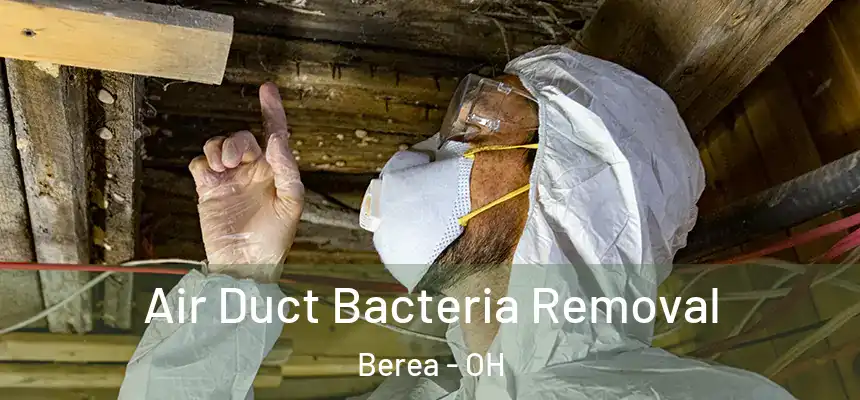 Air Duct Bacteria Removal Berea - OH