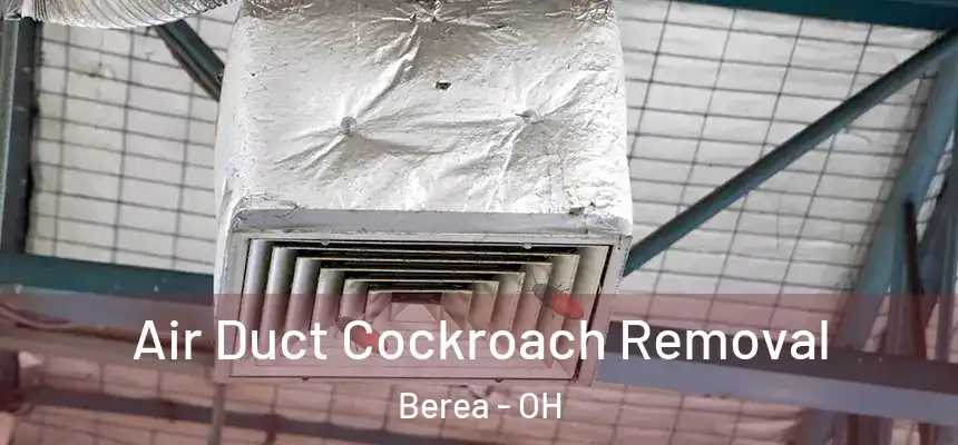  Air Duct Cockroach Removal Berea - OH