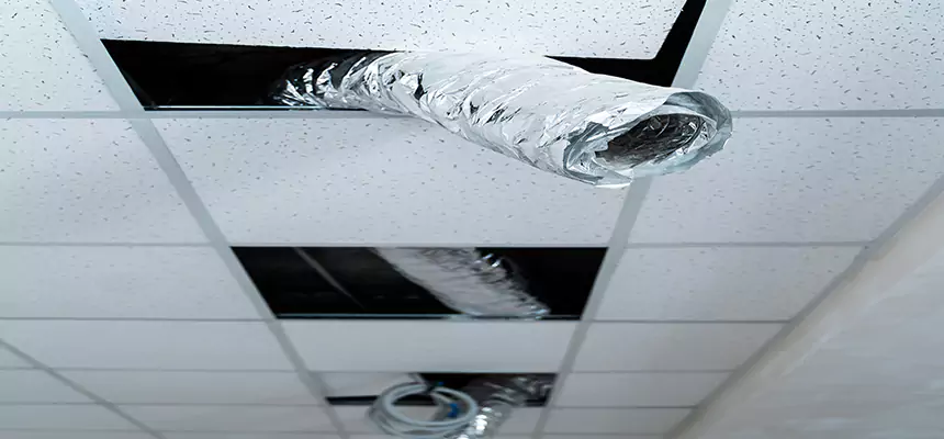 Affordable HVAC Sanitizing After Pest Removal in Berea