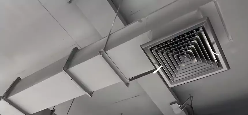 Our Rodent Droppings In Vents Services in Berea, OH