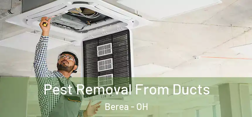  Pest Removal From Ducts Berea - OH