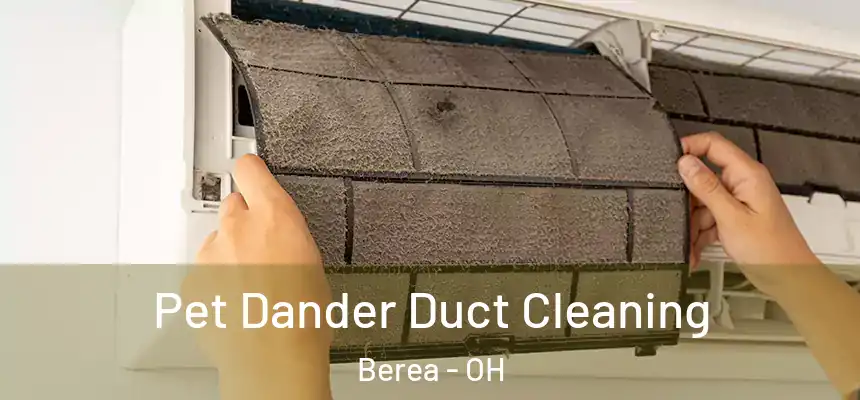  Pet Dander Duct Cleaning Berea - OH
