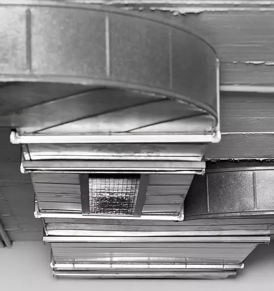 Professional Air Duct Pest Removal in Berea, OH