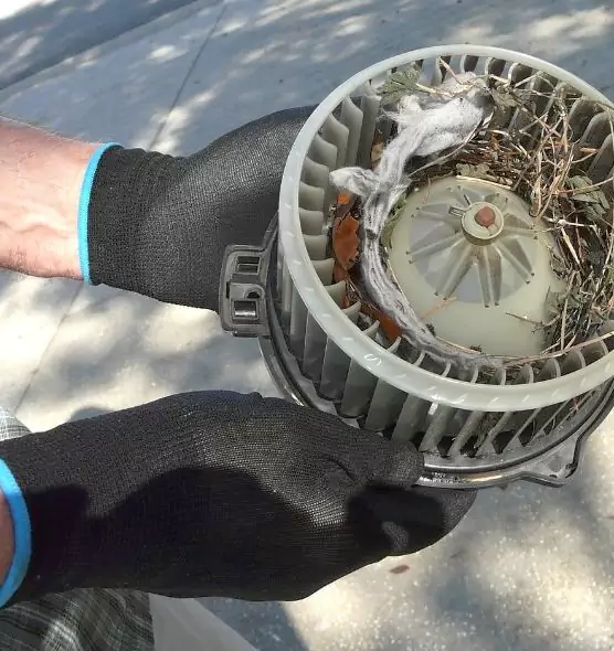 About Air Duct Rat Removal in Berea, OH