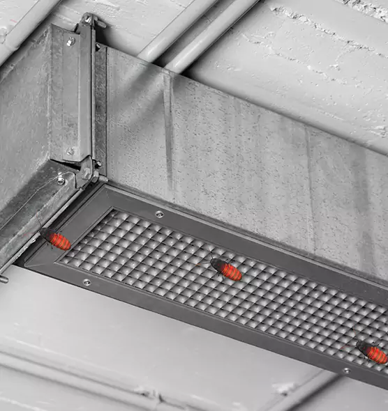 Affordable Insect Removal from Air Ducts in Berea, OH