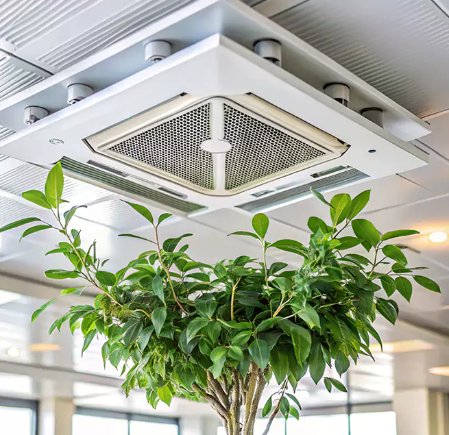 Why Homeowners & Businesses Trust Us in Berea, OH?