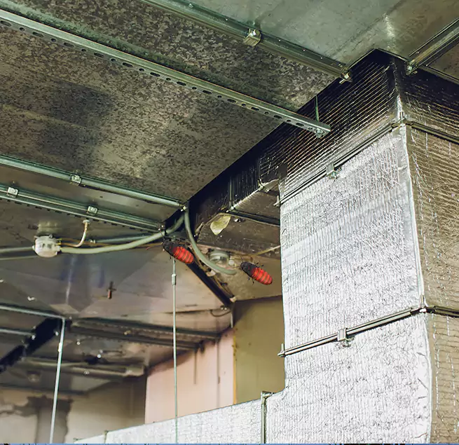 Why Homeowners & Businesses Trust Us Berea, OH?